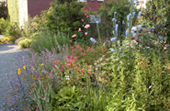 Blumenbeet